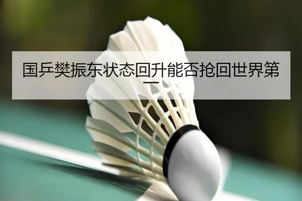 国乒樊振东状态回升能否抢回世界第一